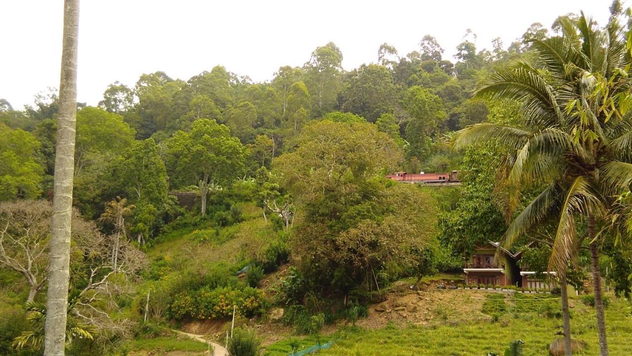 Marvellous Inn Ella Luaran gambar